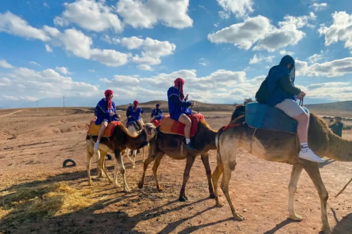 Sunset Camel Ride Agafay
